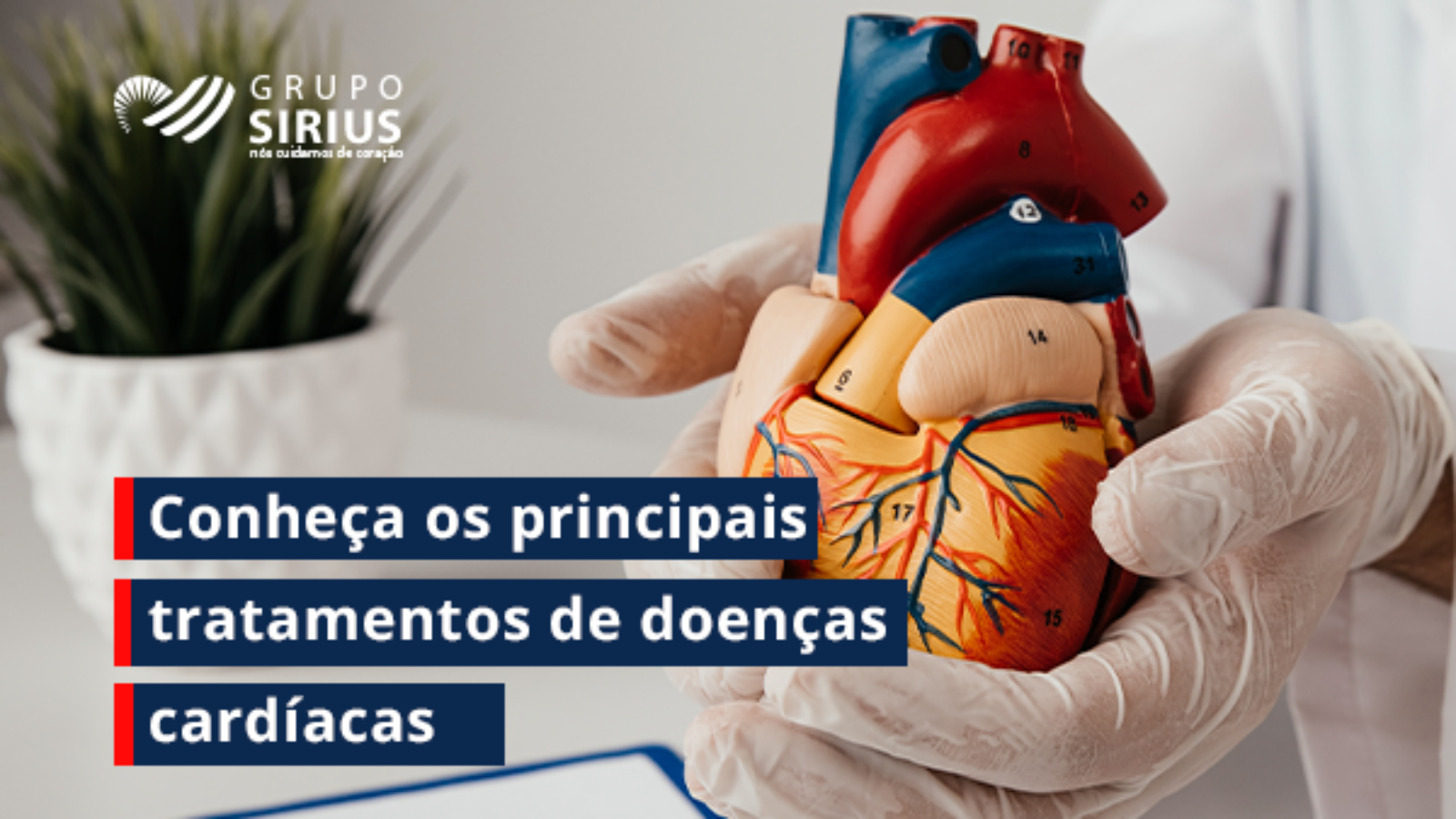 Grupo Sirius-09-Conheça os principais tratamentos de doenças cardíacas (1)